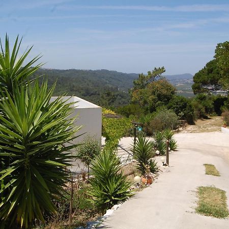 A Perfect Villa With Pool Terrace And Garden Alcobaça Buitenkant foto