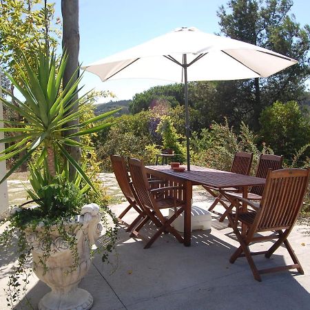 A Perfect Villa With Pool Terrace And Garden Alcobaça Buitenkant foto