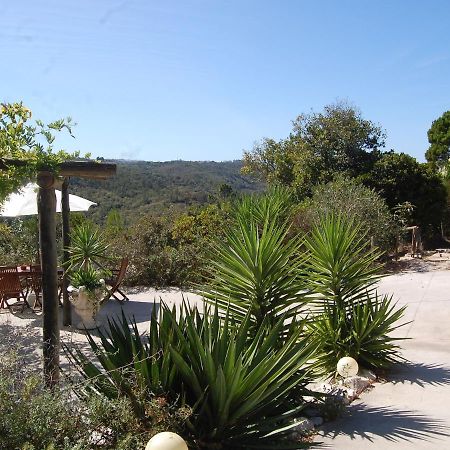 A Perfect Villa With Pool Terrace And Garden Alcobaça Buitenkant foto