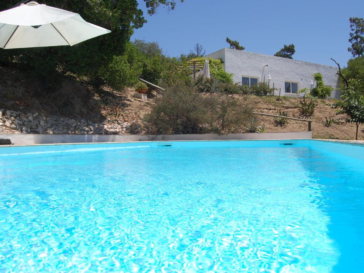 A Perfect Villa With Pool Terrace And Garden Alcobaça Buitenkant foto