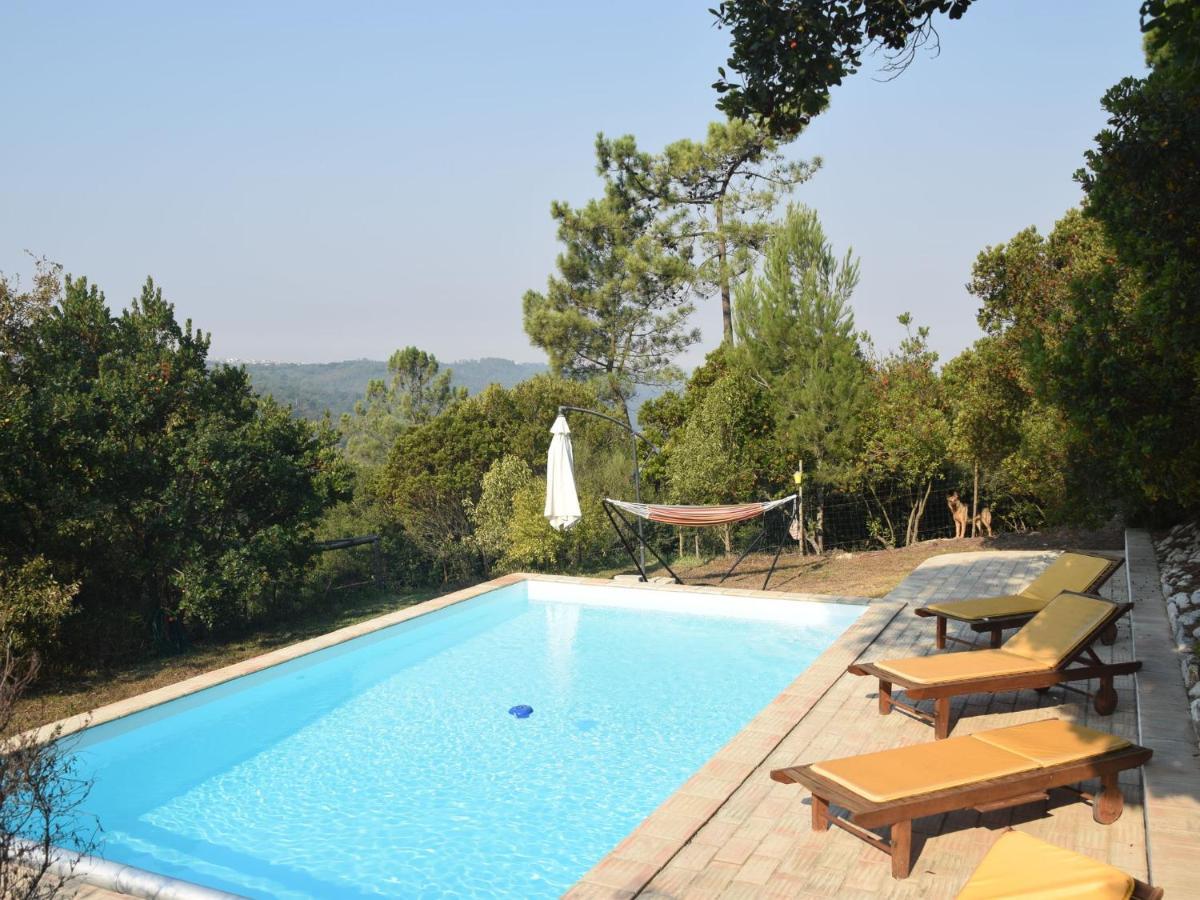 A Perfect Villa With Pool Terrace And Garden Alcobaça Buitenkant foto