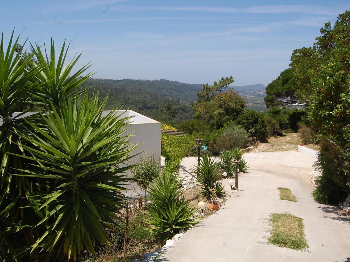 A Perfect Villa With Pool Terrace And Garden Alcobaça Buitenkant foto
