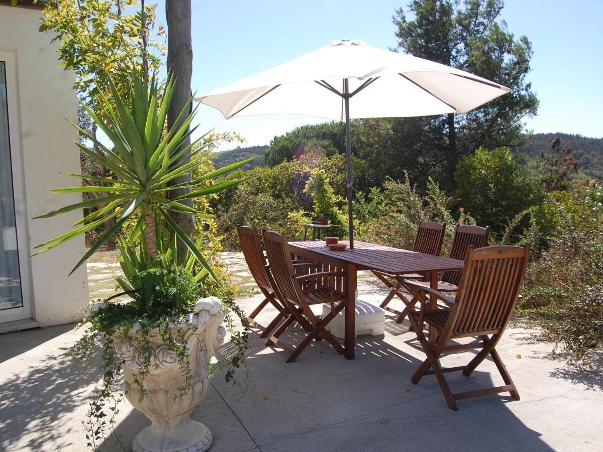 A Perfect Villa With Pool Terrace And Garden Alcobaça Buitenkant foto