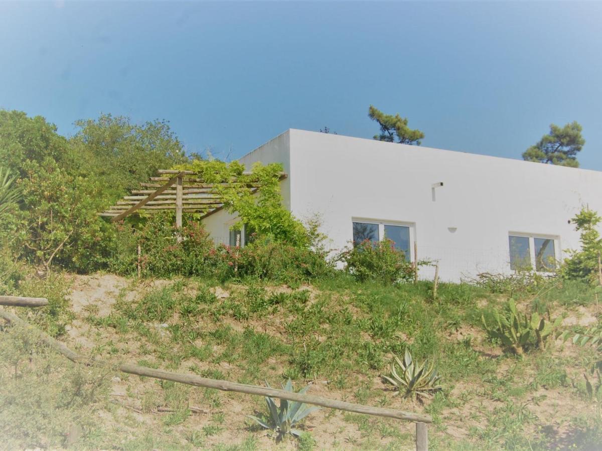 A Perfect Villa With Pool Terrace And Garden Alcobaça Buitenkant foto