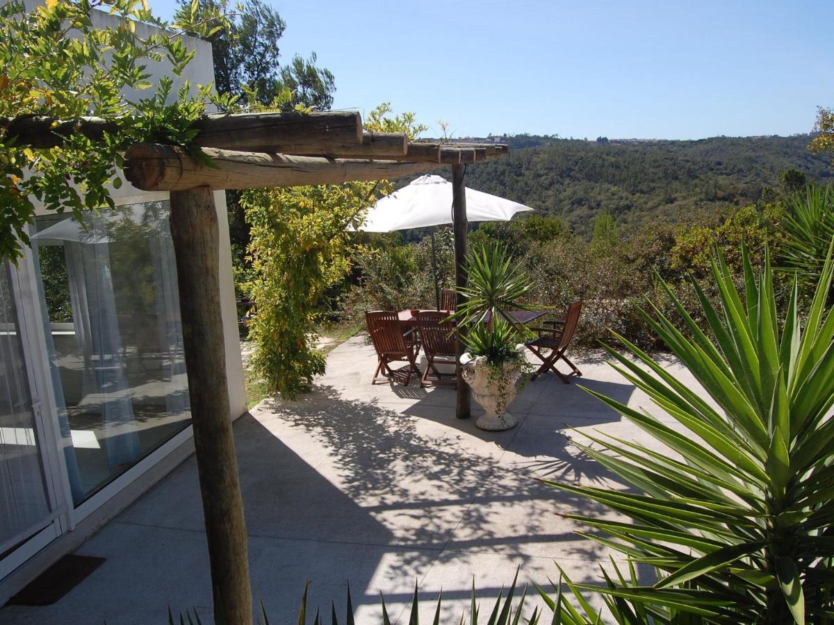 A Perfect Villa With Pool Terrace And Garden Alcobaça Buitenkant foto