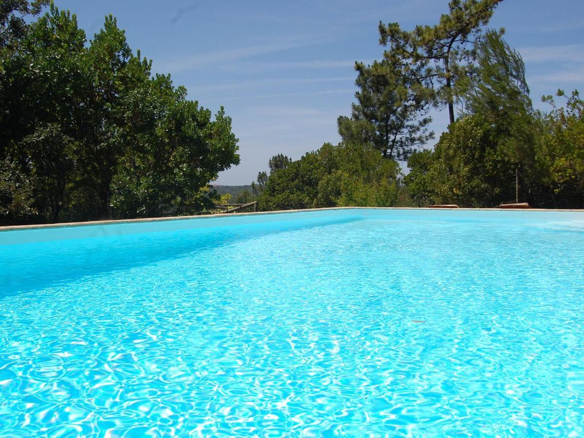 A Perfect Villa With Pool Terrace And Garden Alcobaça Buitenkant foto