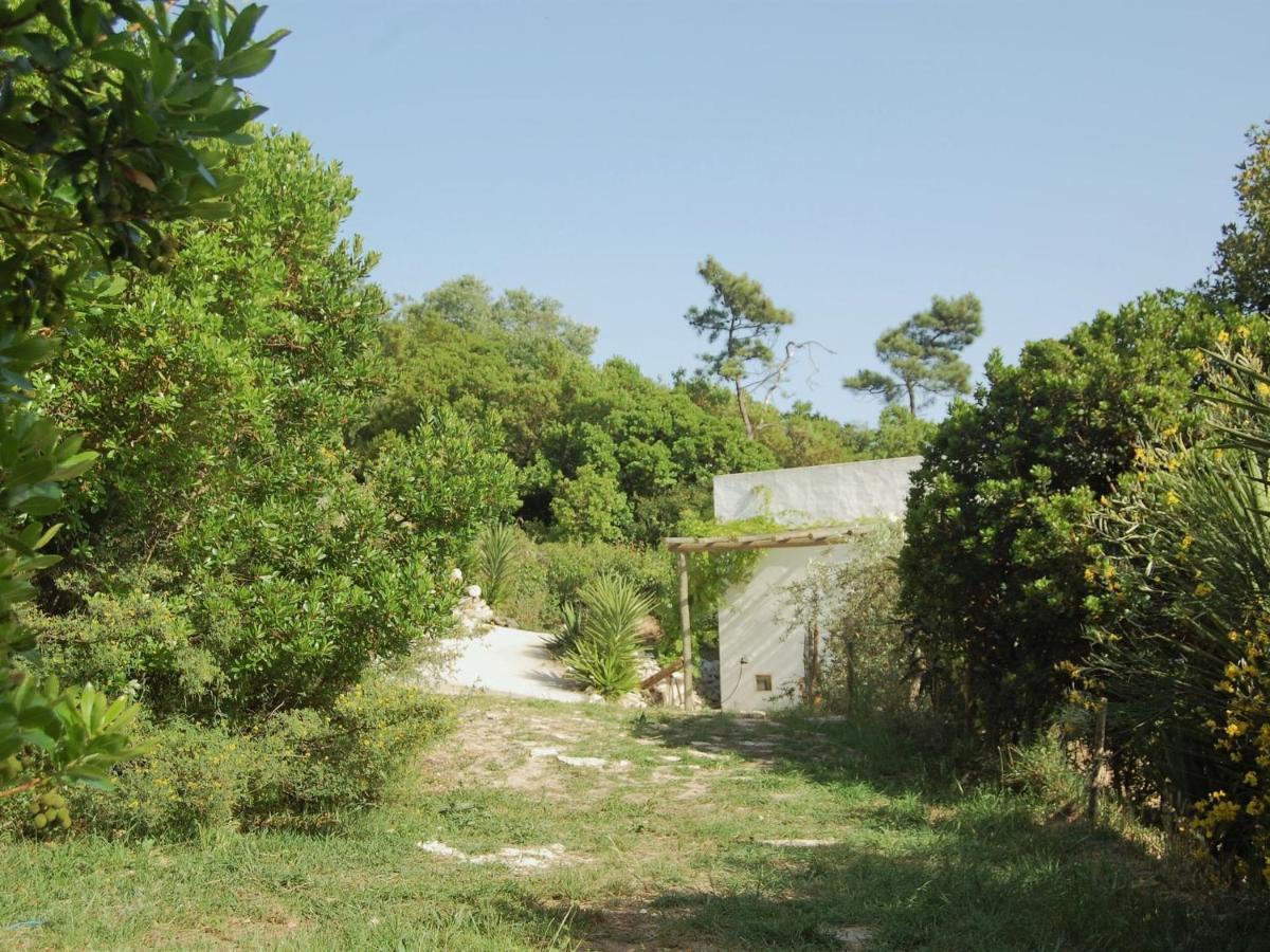A Perfect Villa With Pool Terrace And Garden Alcobaça Buitenkant foto