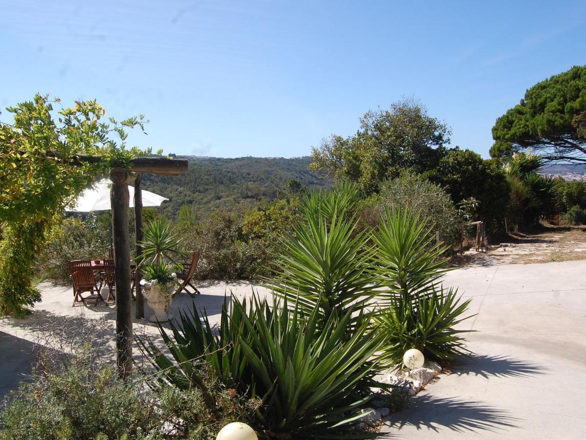 A Perfect Villa With Pool Terrace And Garden Alcobaça Buitenkant foto