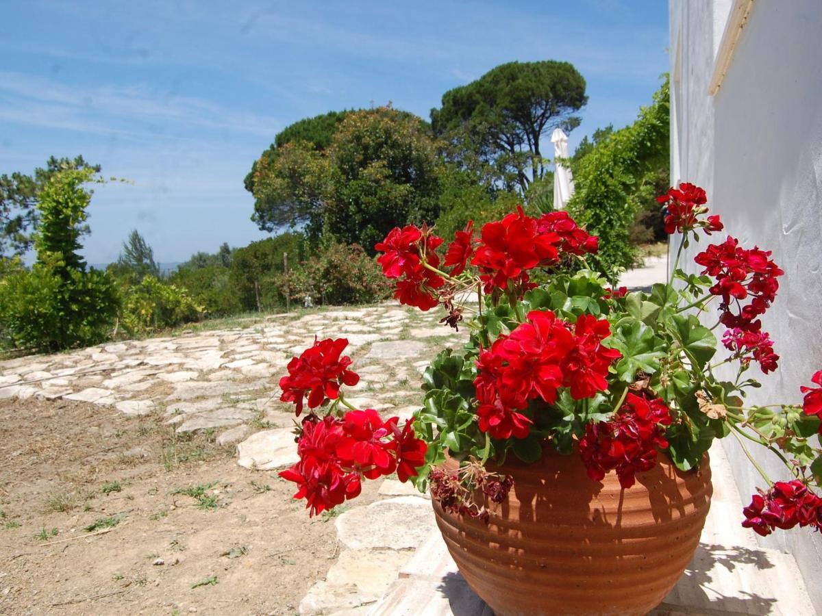 A Perfect Villa With Pool Terrace And Garden Alcobaça Buitenkant foto