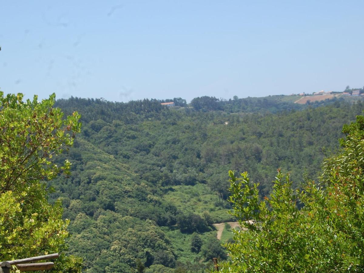 A Perfect Villa With Pool Terrace And Garden Alcobaça Kamer foto